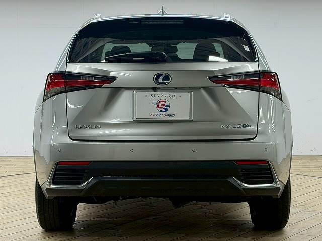 レクサス NXの画像19