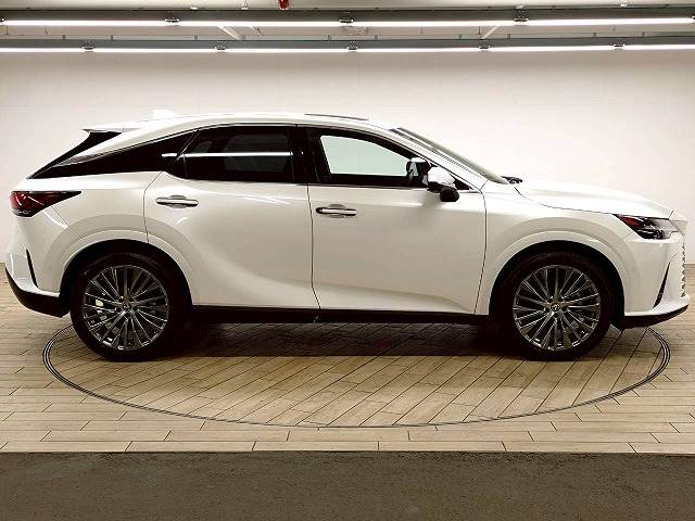 レクサス RXの画像18