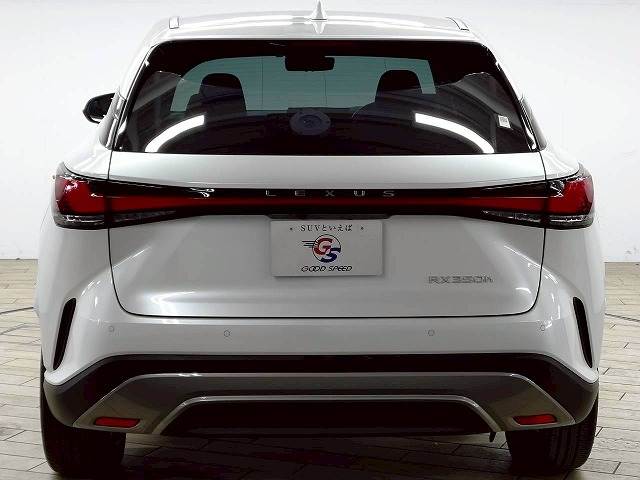 レクサス RXの画像19