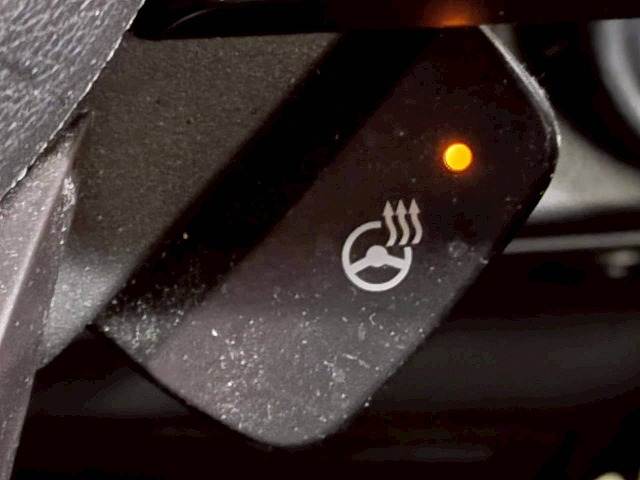 スバル&nbsp;フォレスターの画像8