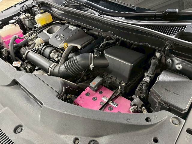 レクサス&nbsp;RXの画像15
