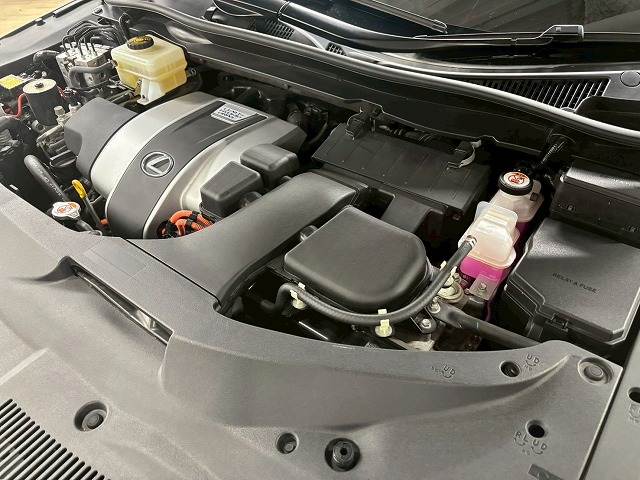 レクサス RXの画像15