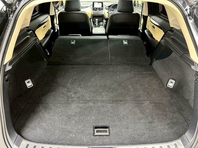 レクサス&nbsp;NXの画像20