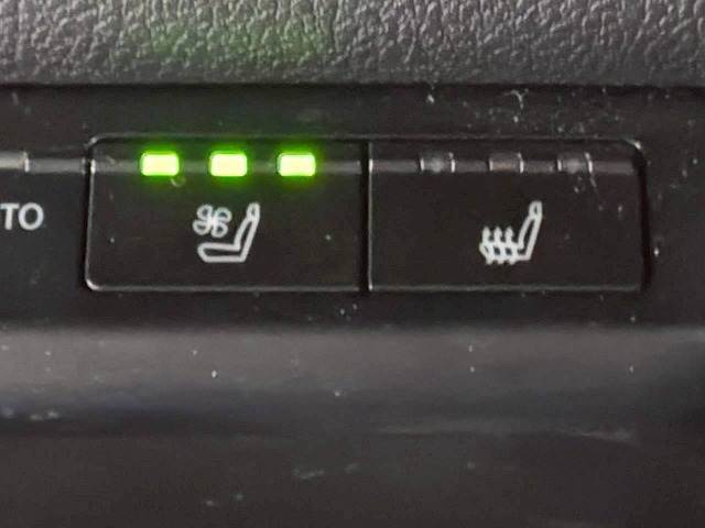 レクサス&nbsp;UXの画像8