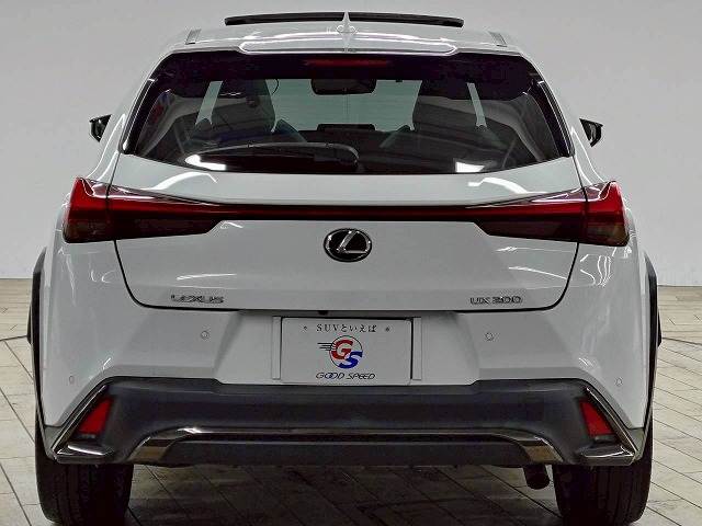 レクサス&nbsp;UXの画像19