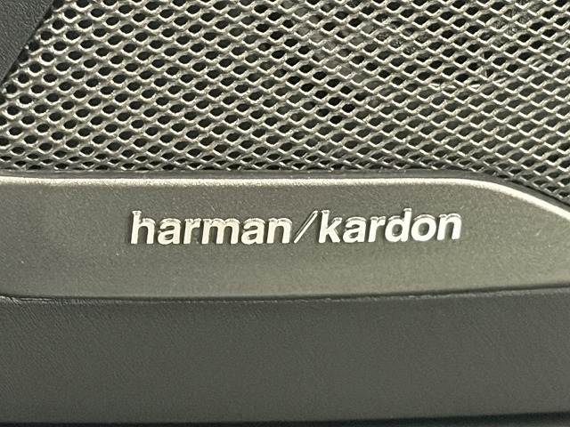 BMW&nbsp;X7の画像11