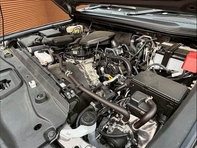 トヨタ&nbsp;ランドクルーザー250の画像14