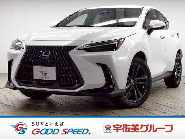 レクサスNX△NX250 “version L” 外観