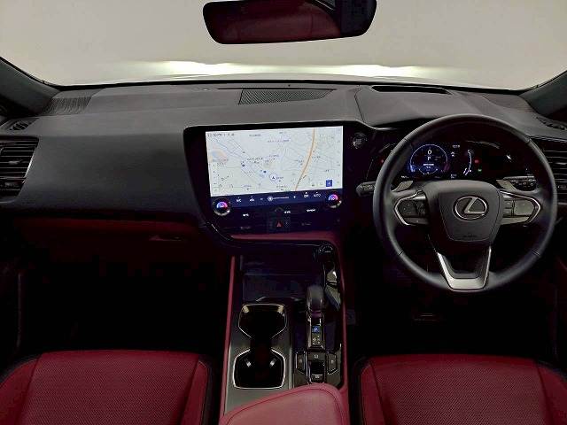 NX△NX250 “version L” 内装他