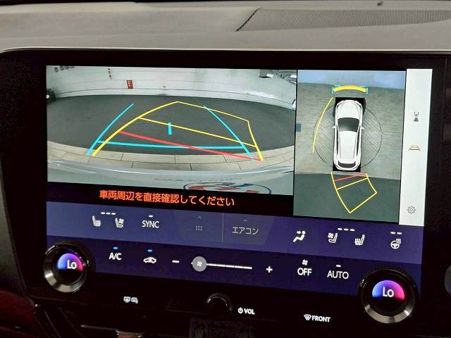NX△NX250 “version L” 内装他