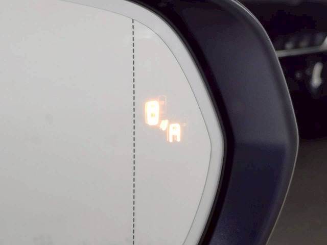 NX△NX250 “version L” 内装他