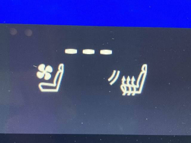 レクサス RZの画像9