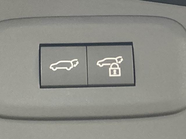 レクサス RZの画像11