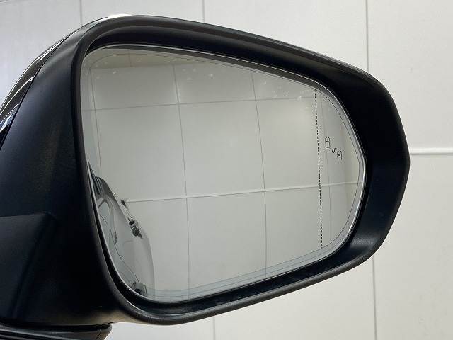 レクサス RZの画像12