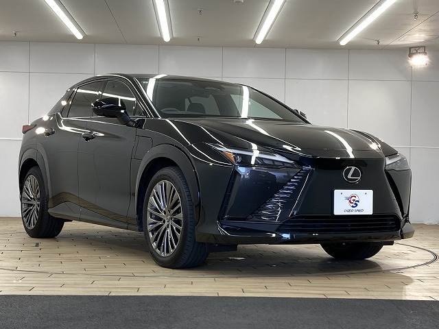 レクサス RZの画像14