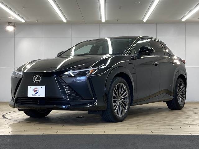 レクサス RZの画像15