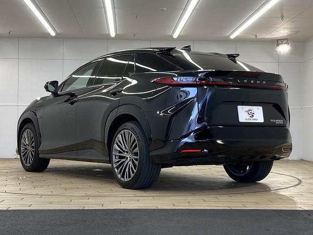 レクサス RZの画像16