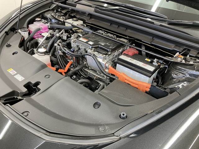 レクサス RZの画像18