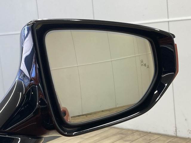 UXUX250h“Graceful Explorer” 内装他