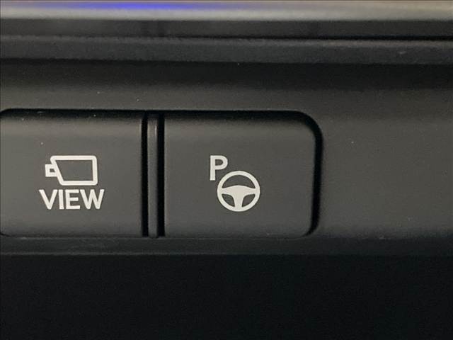 RZRZ450e “version L” 内装他