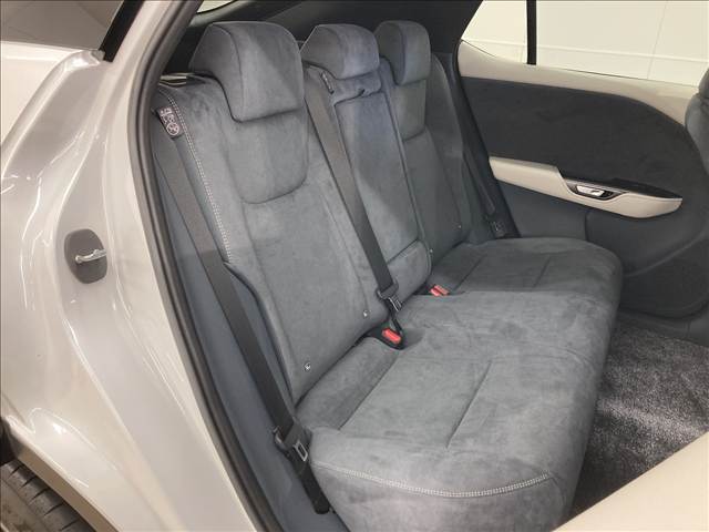 レクサス&nbsp;RZの画像13