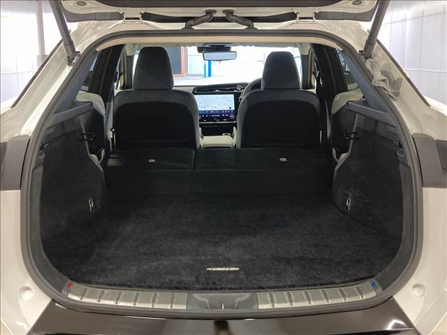 レクサス&nbsp;RZの画像14