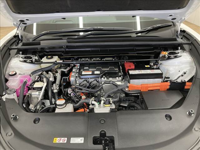 レクサス&nbsp;RZの画像18