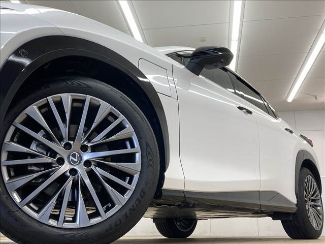 レクサス&nbsp;RZの画像19