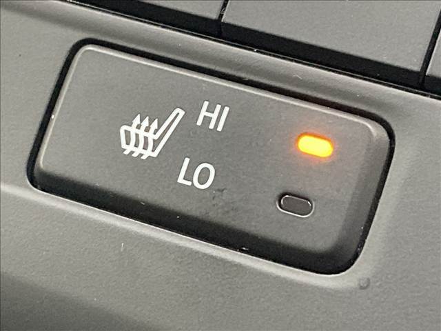 ホンダ ステップワゴンスパーダの画像10