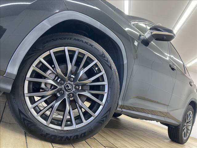 レクサス RXの画像19