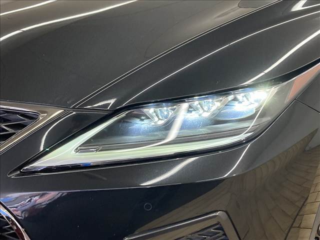 レクサス RXの画像20