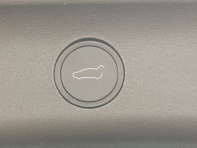 テスラ Model Yの画像8