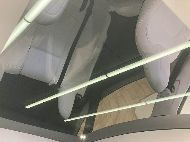 テスラ Model Yの画像10