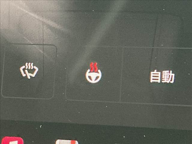 テスラ Model Yの画像10