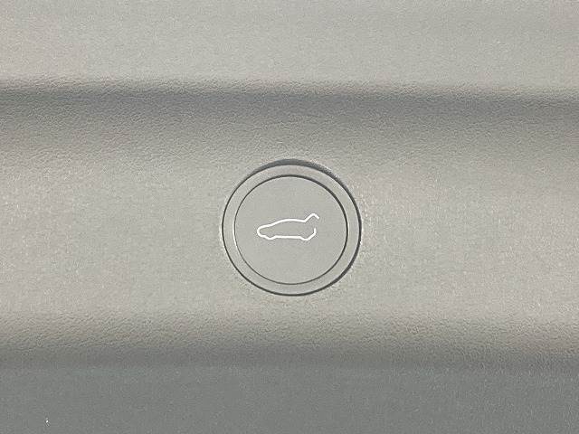 テスラ Model Yの画像10