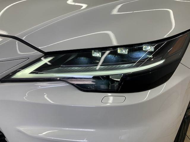 レクサス RXの画像20