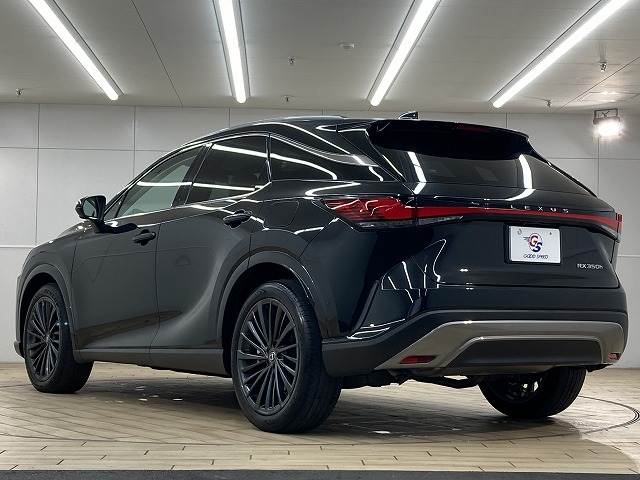 レクサス&nbsp;RXの画像17