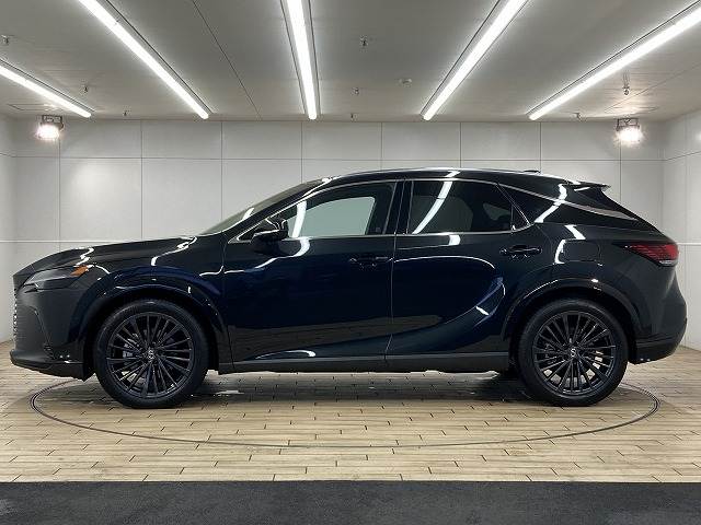 レクサス&nbsp;RXの画像16