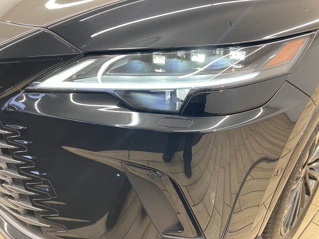 レクサス&nbsp;RXの画像20