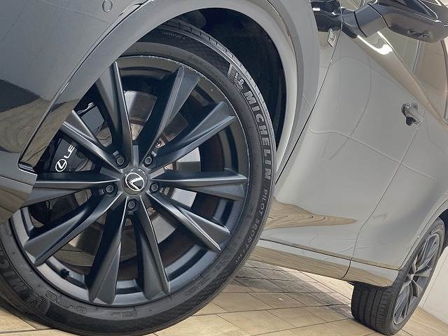 レクサス&nbsp;RXの画像19