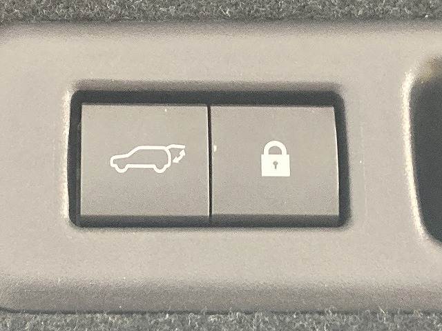 レクサス&nbsp;RXの画像11