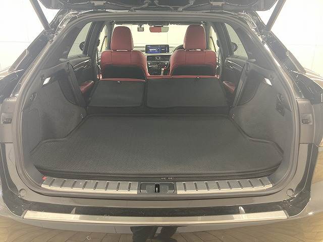 レクサス&nbsp;RXの画像13