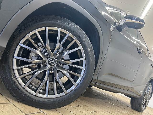 レクサス&nbsp;RXの画像19