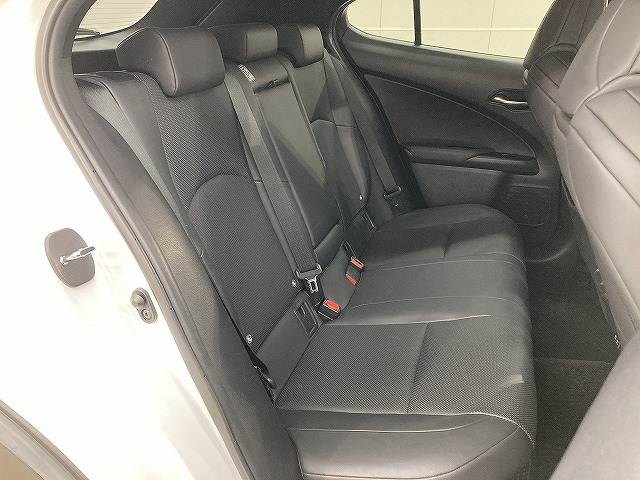 UXUX250h“F SPORT” 内装他