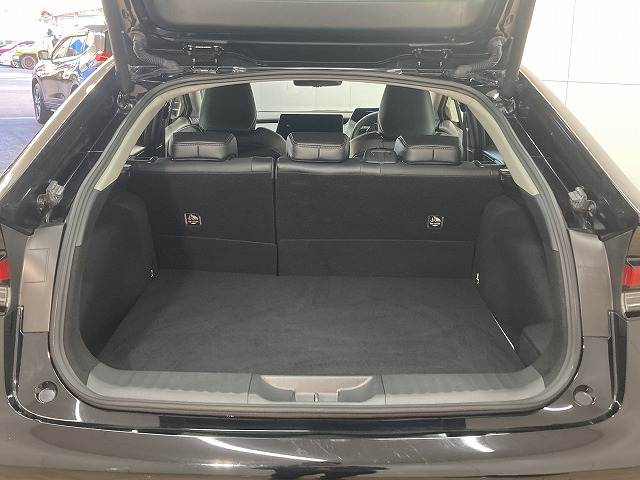 トヨタ&nbsp;プリウスの画像13