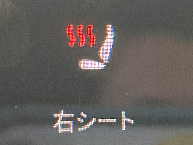 テスラ&nbsp;Model 3の画像8