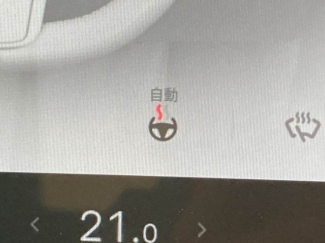 テスラ&nbsp;Model 3の画像11