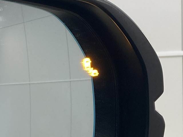 ホンダ&nbsp;ステップワゴンの画像10