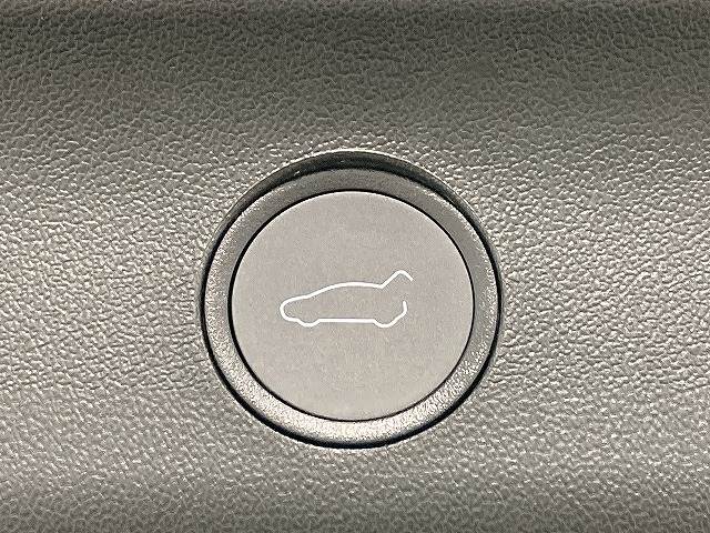 テスラ&nbsp;Model Yの画像6