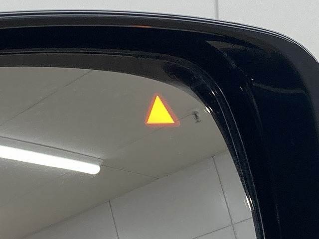 日産&nbsp;エルグランドの画像11